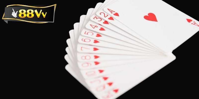 Mẹo chơi Catte thắng lớn từ chuyên gia